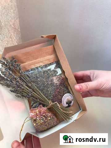 Набор Лаванда, средний Черногорск - изображение 1