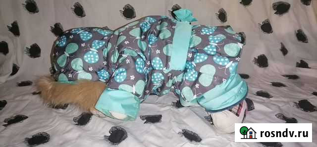 Зимняя одежда для маленьких собак Вологда - изображение 1