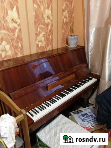 Пианино Петропавловск-Камчатский - изображение 1