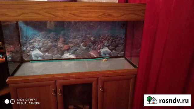 Аквариум Брянск - изображение 1