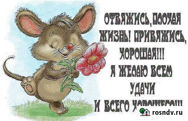 Напишу стихи и поздравления на заказ Тамбов - изображение 1