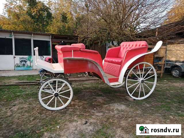 Пони,лошадь и карета Энем - изображение 1