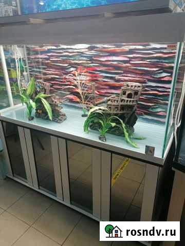 Аквариумы аквас Воскресенск - изображение 1