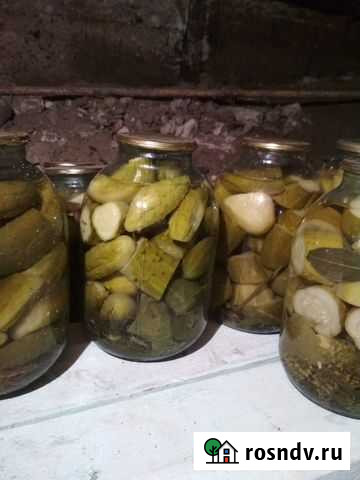 Домашние огурчики Сысерть - изображение 1