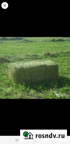 Сено Хакуринохабль - изображение 1