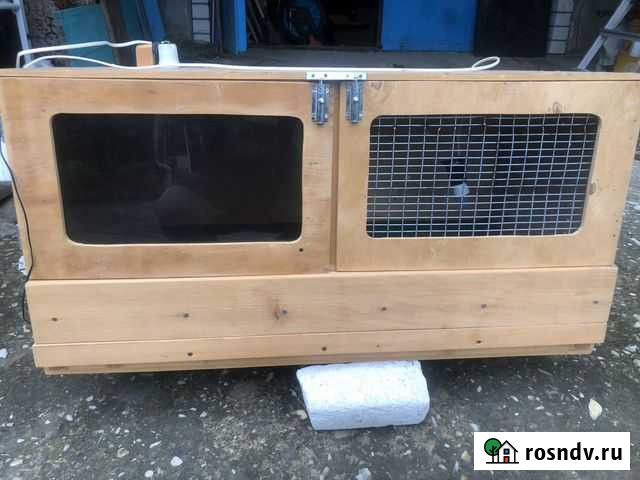 Брудер для цыплят Новомихайловский кп - изображение 1