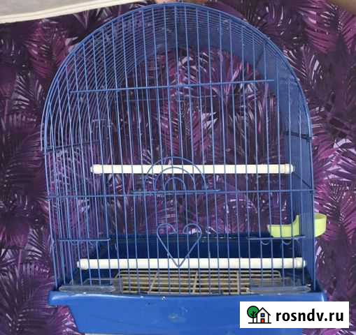 Клетка для попугаев Вятские Поляны - изображение 1
