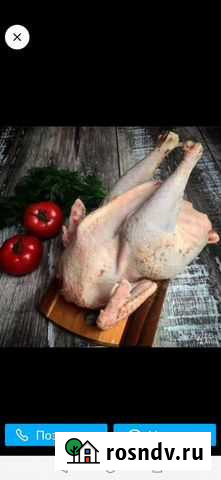 Петушки. домашние Черкесск - изображение 1