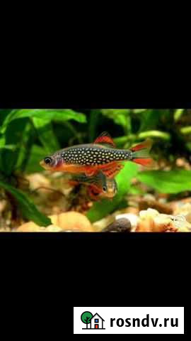 Установка аквариума Москва - изображение 1