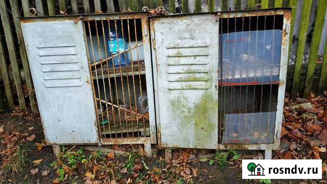 Клетки для кроликов и др. животных Смоленск - изображение 1
