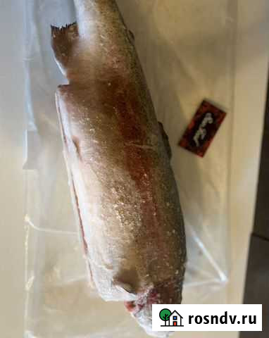 Форель карельская Новосиньково - изображение 1