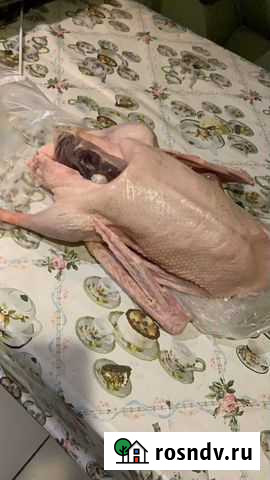 Утка домашняя мясо Павловский Посад - изображение 1