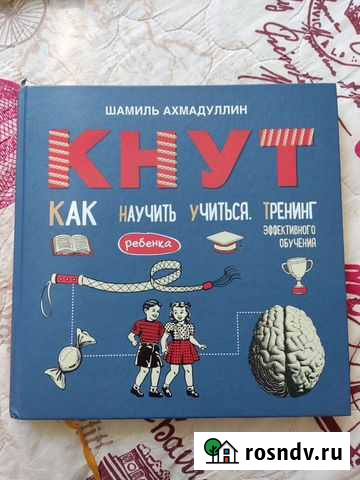 Кнут. Тренинг эффективного обучения. Шамиль Ахмаду Дзержинск - изображение 1