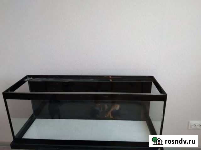 Аквариум Братск - изображение 1