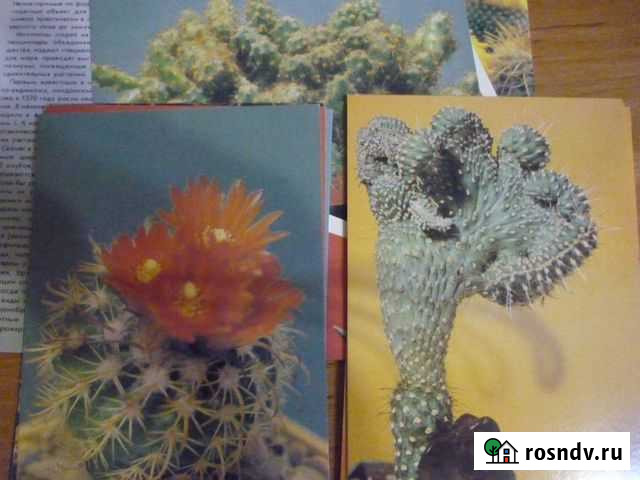 Наборы открыток Нижний Новгород - изображение 1