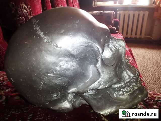 Череп Homo Sapiens Боровичи - изображение 1