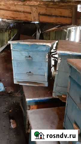 Ульи для пчел Камские Поляны - изображение 1