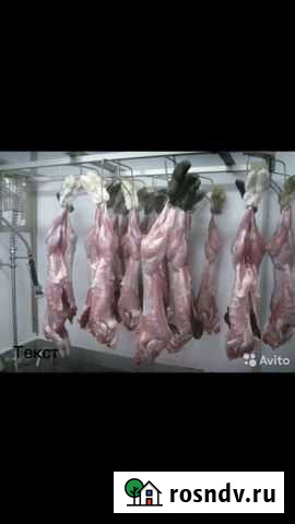 Мясо кролика Альметьевск - изображение 1