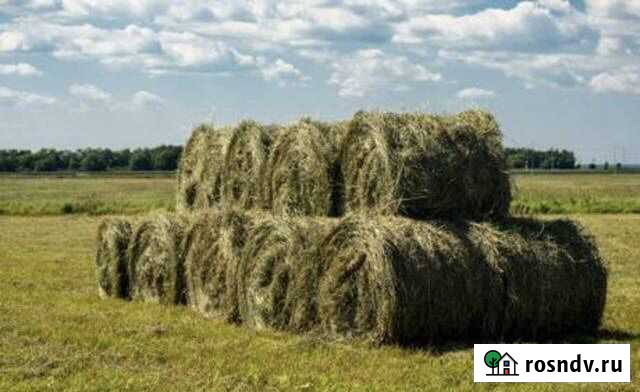 Рулоны сена Афанасьево - изображение 1