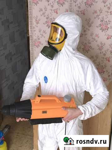 Уничтожение тараканов клопов, плесени, дезинфекция Ульяновка - изображение 1