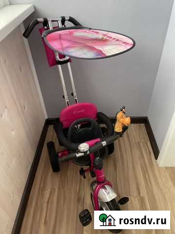 Детский трехколесный велосипед Чита - изображение 1