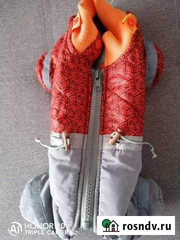 Тёплая одежда, для мини-той Рубцовск - изображение 1