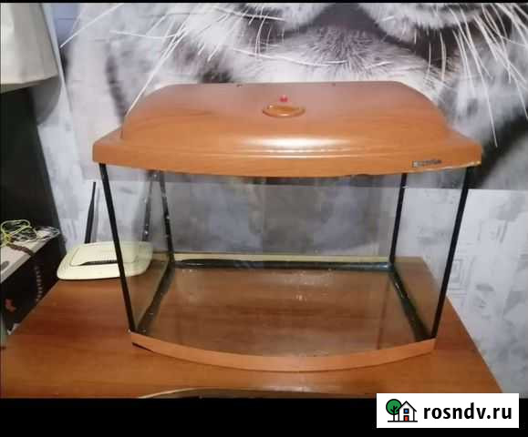 Аквариум Березовский - изображение 1