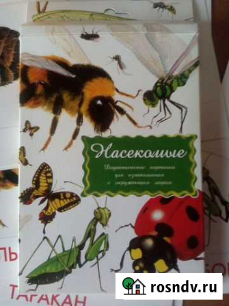 Карточки Насекомые Волжский - изображение 1