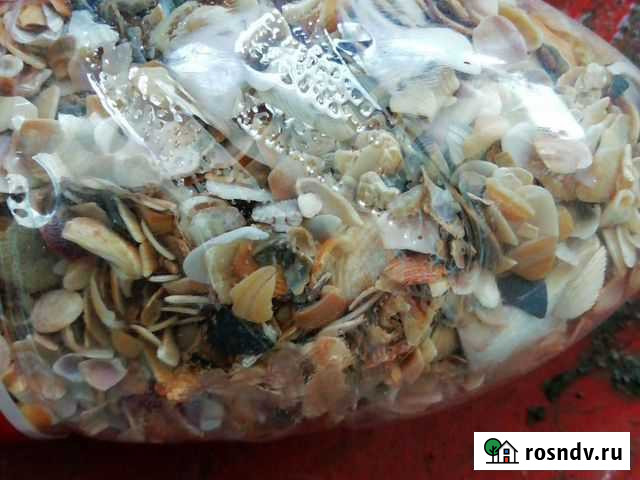 Ракушки для аквариума Коломна - изображение 1