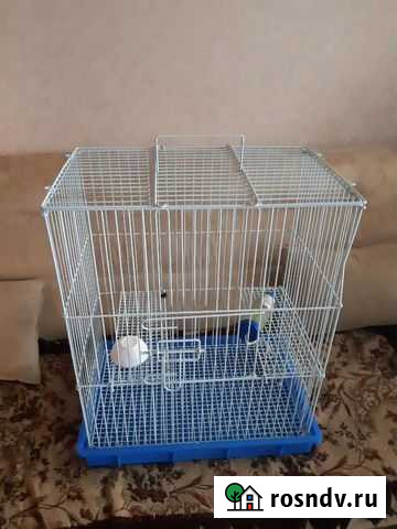 Клетка для грызунов, шиншиллы Вязники - изображение 1