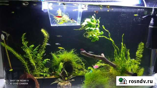 Отсадник для рыб Нижний Новгород - изображение 1