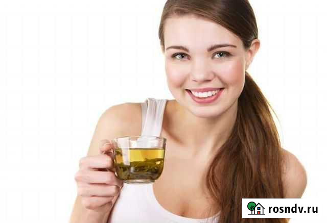 Травяные чаи Абакан - изображение 1