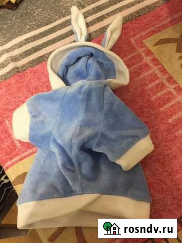 Одежда для собак Боровичи - изображение 1