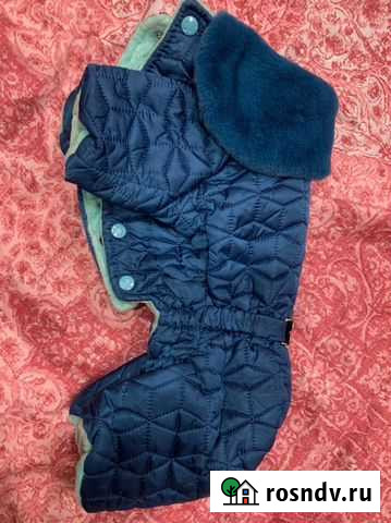 Одежда для собак мелких пород Сергиев Посад - изображение 1