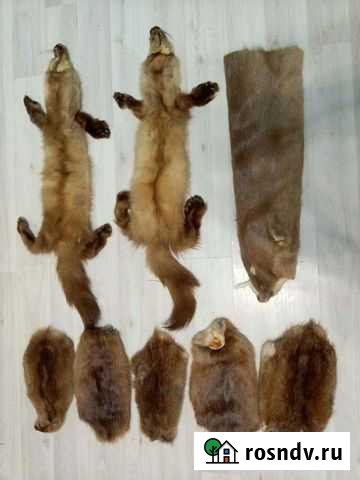 Мех куски шкуры натуральные рукоделие печворк Раменское - изображение 1