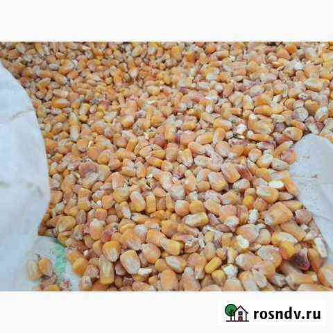 Продам кукурузу в мешке 40кг Михайловка
