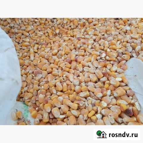 Продам кукурузу в мешке 40кг Михайловка - изображение 1