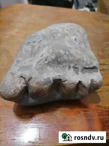 Окаменелость ноги древнего человека Горно-Алтайск - изображение 1
