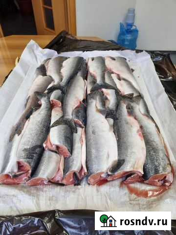 Свежемороженая горбуша в упаковке Одинцово - изображение 1