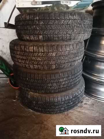 Accelera 215/65 R16 Чита - изображение 1