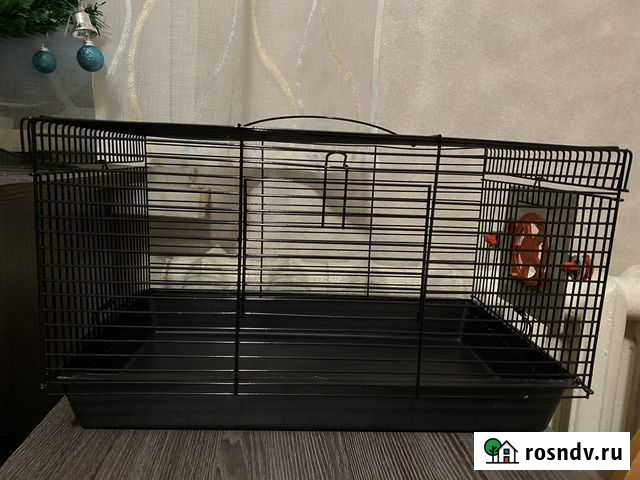 Клетка Чайковский - изображение 1