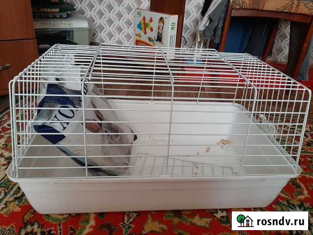 Клетка Саранск - изображение 1