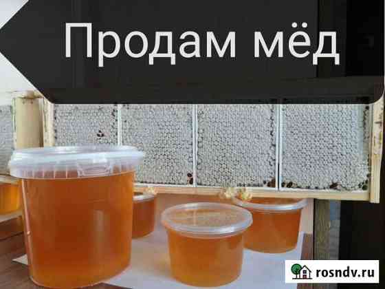 Мед Черепаново