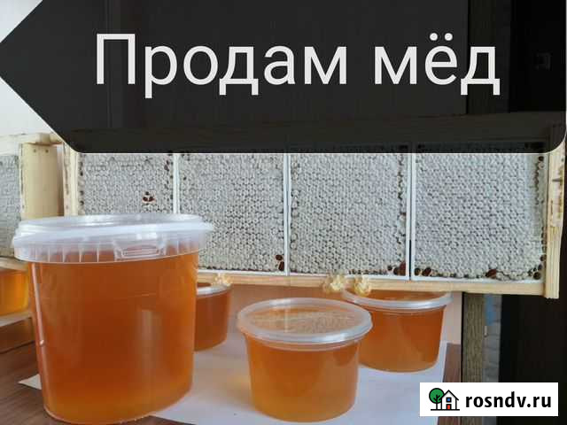 Мед Черепаново - изображение 1