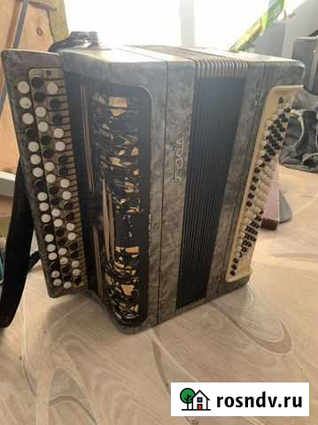 Баян Чита - изображение 1