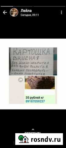 Картофель Моздок - изображение 1