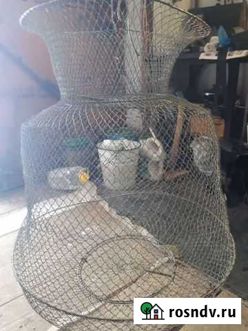 Охота и рыбалка Новомосковск - изображение 1