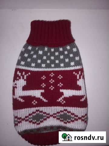 Одежда для маленьких собак, кошек Саранск - изображение 1