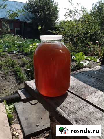 Мед Мценск - изображение 1