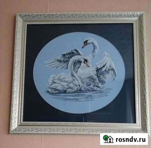 Лебеди Липецк - изображение 1